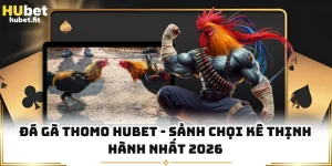Đá Gà Thomo HUBET - Sảnh Chọi Kê Thịnh Hành Nhất 2026