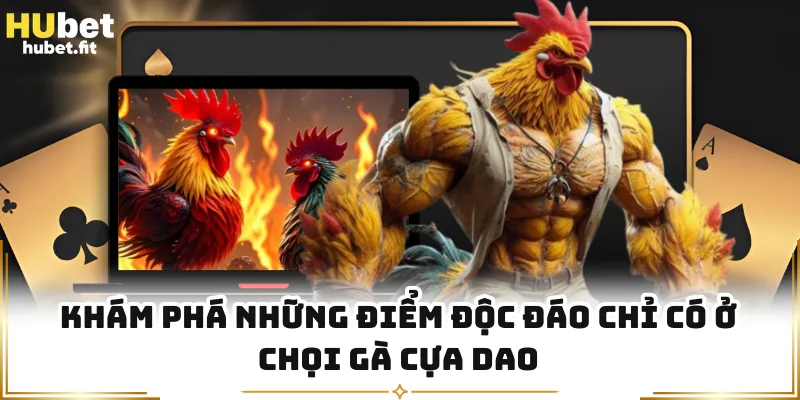 Khám phá những điểm độc đáo chỉ có ở chọi gà cựa dao