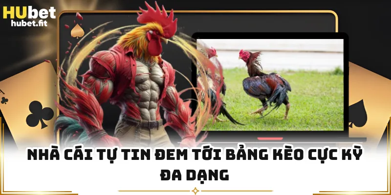 Nhà cái tự tin đem tới bảng kèo cực kỳ đa dạng