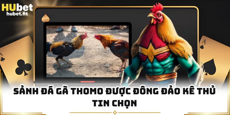 Sảnh đá gà Thomo được đông đảo kê thủ tin chọn